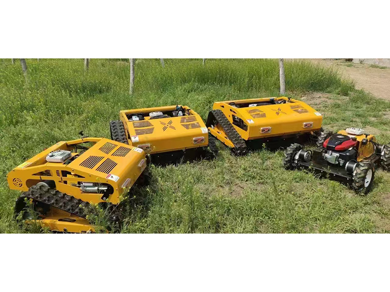 微信圖片_20241219105140